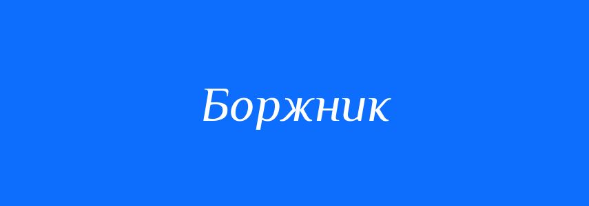 Антоніми до слова Боржник
