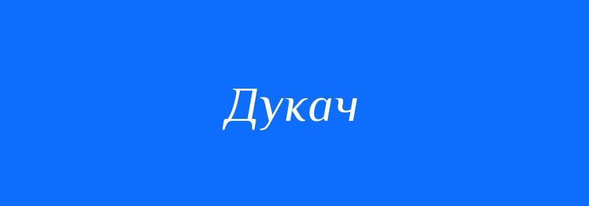 Антоніми до слова Дукач