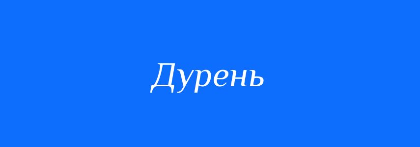 Антоніми до слова Дурень