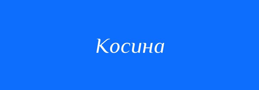 Антоніми до слова Косина
