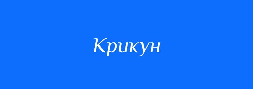 Антоніми до слова Крикун