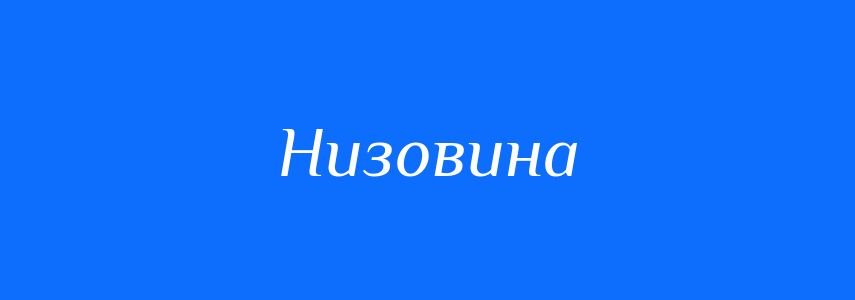 Антоніми до слова Низовина