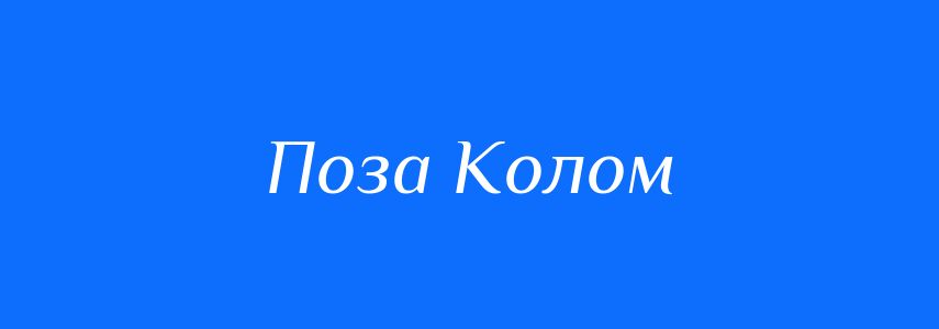 Антоніми до слова Поза Колом