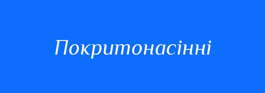 Антоніми до слова Покритонасінні