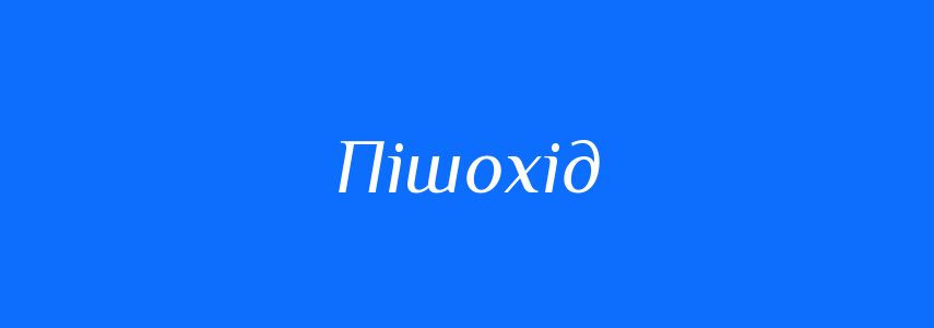 Антоніми до слова Пішохід