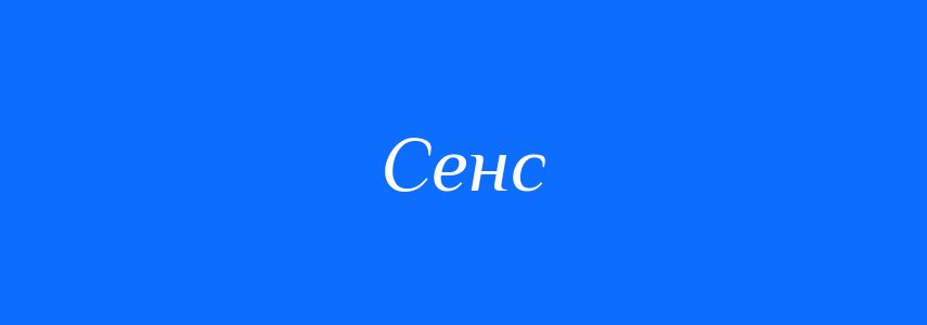 Антоніми до слова Сенс