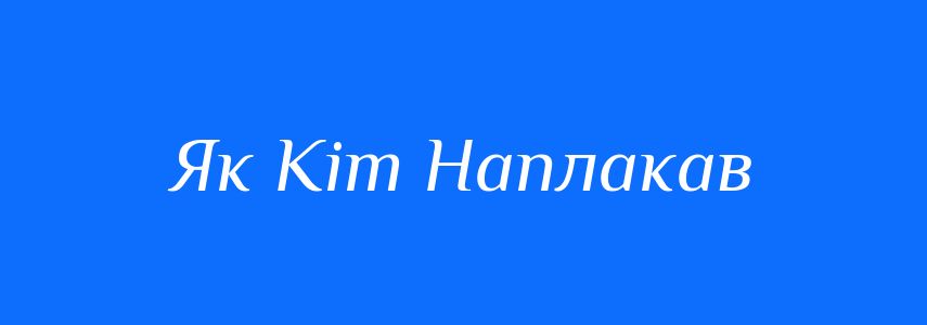 Антоніми до слова Як Кіт Наплакав